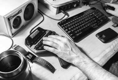 Succulent Care for Small Gardens