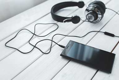 How to Identify Common Succulent Varieties